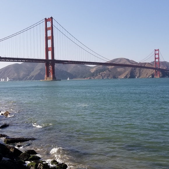 Meet your Posher, Samantha - Picture 1 of 1